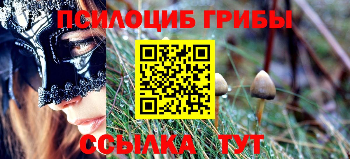 Ливны  Галлюциногенные грибы мицелий  Вход с VPN 